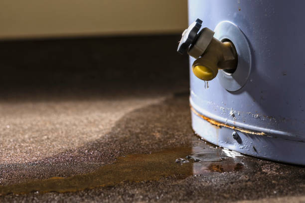 Best Water damage restoration near me  in Dewart, PA