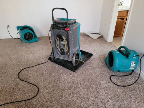 Best 24-hour water damage restoration  in Dewart, PA