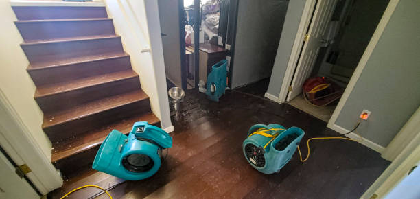 Best Professional water damage repair  in Dewart, PA
