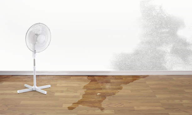 Best Water damage cleanup near me  in Dewart, PA
