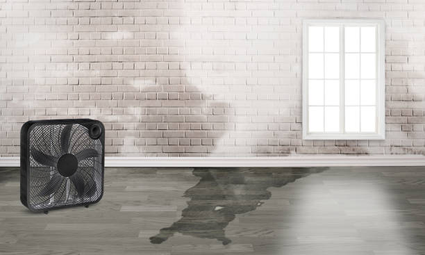 Best Commercial water damage restoration  in Dewart, PA