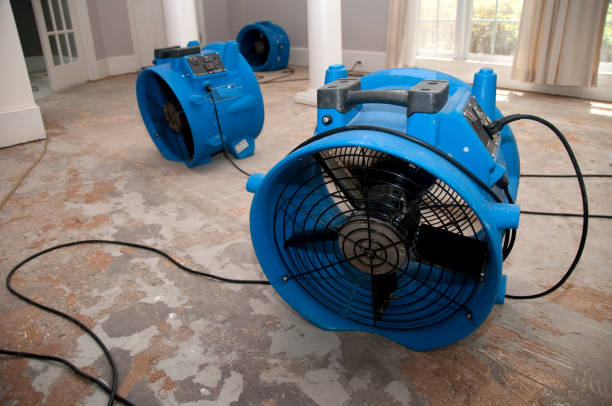 Best Carpet water damage restoration  in Dewart, PA