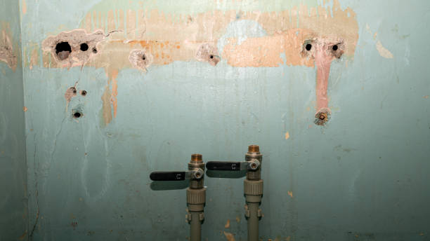 Best Flooded house restoration  in Dewart, PA