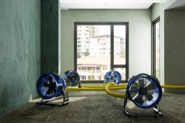 Best Ceiling water damage repair  in Dewart, PA